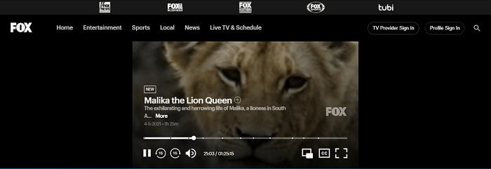 watch-fox-tv-in-canada-5