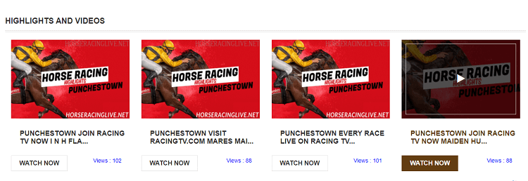 watch-horse-racing-games-on-horseracinglive.net