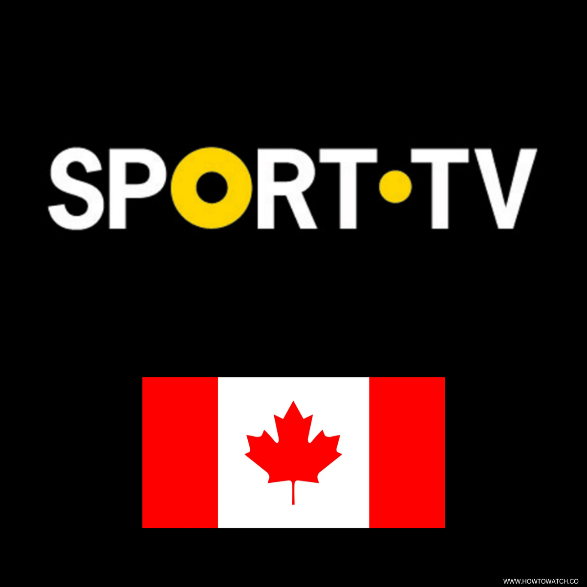 How to Watch Sport TV Portugal in Canada [2024]