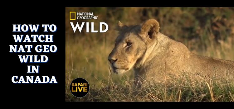 How-to-watch-Nat-geo-wild-in-Canada