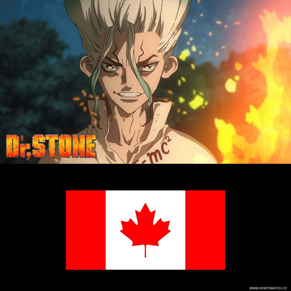 How To Watch Dr Stone In Canada All Seasons 2024   HOW TO WATCH DR STONE IN CANADA 