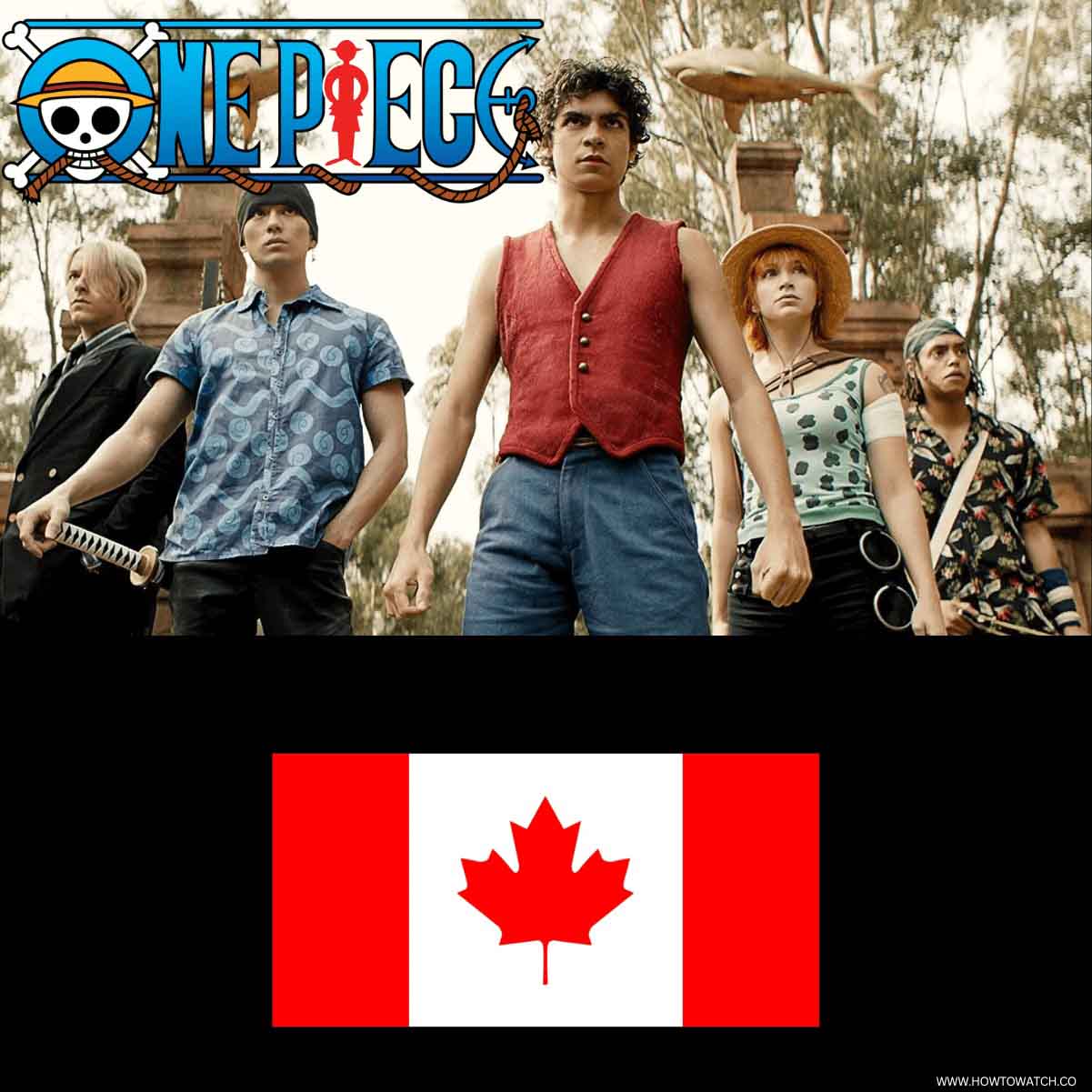 How to Watch One Piece in Canada [Free & Premium | 2025]