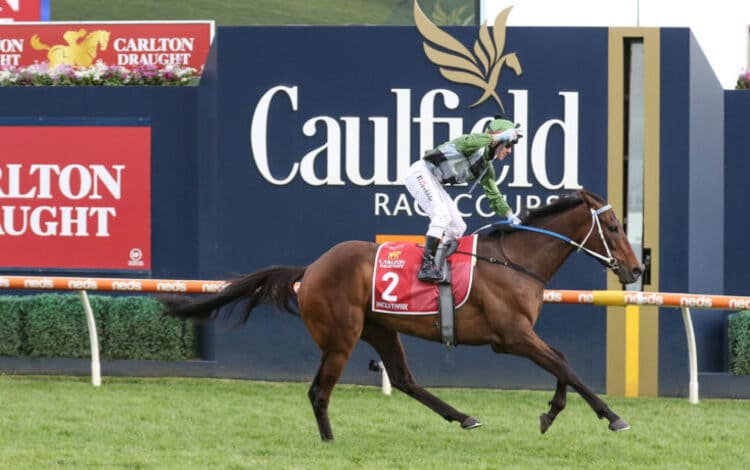 watch-Caulfield-Cup-in-Canada-10
