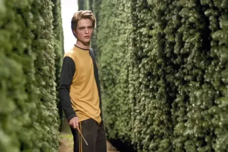 unforgettable-fictional-characters-deaths-cedric-diggory