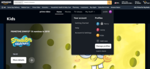 How to Watch Amazon Freevee in Canada [Its 100% Free!]
