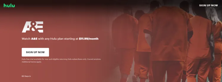 watch-a&e-in-canada-hulu