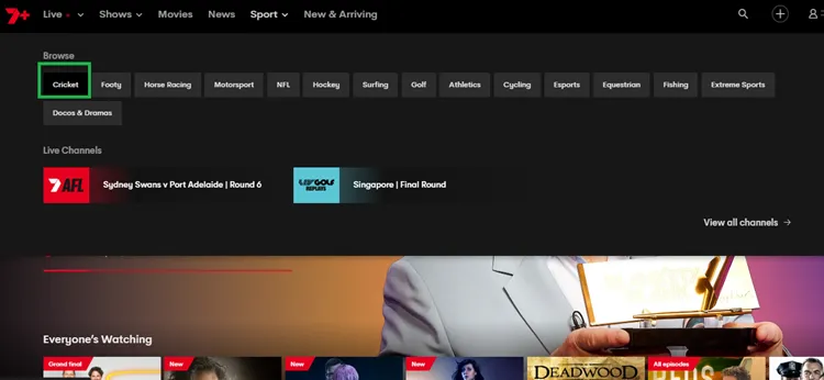 watch-the-ashes-in-ireland-8