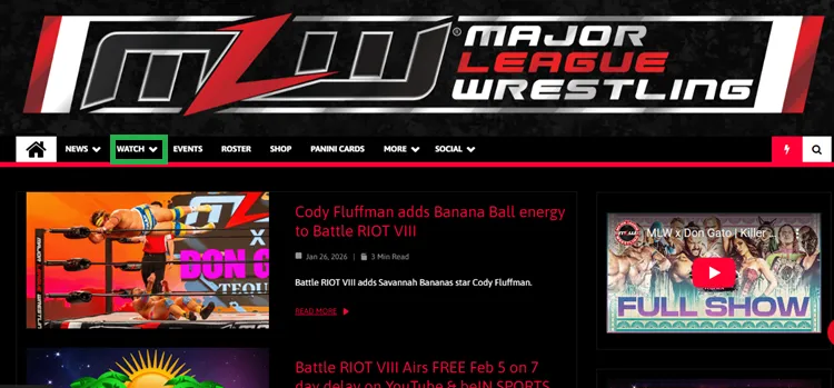 watch-battle-riot-in-canada-1